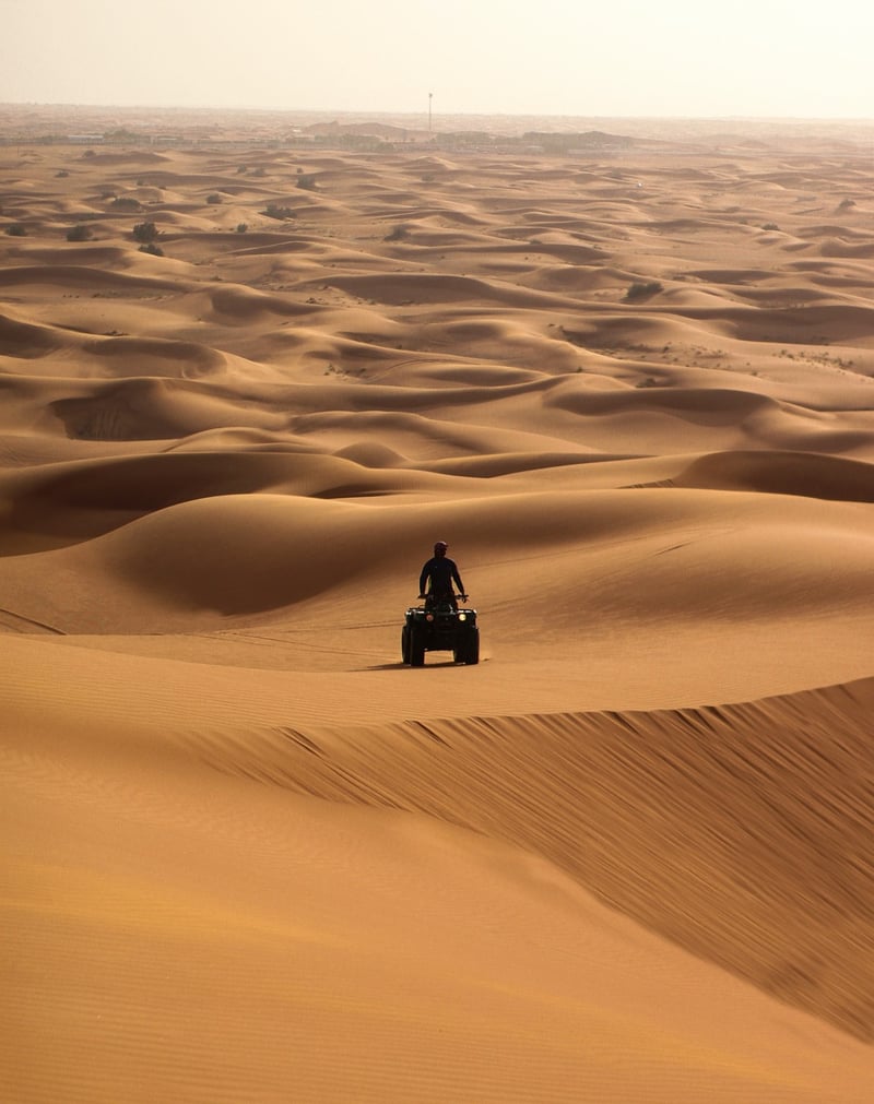 Safari Tours
